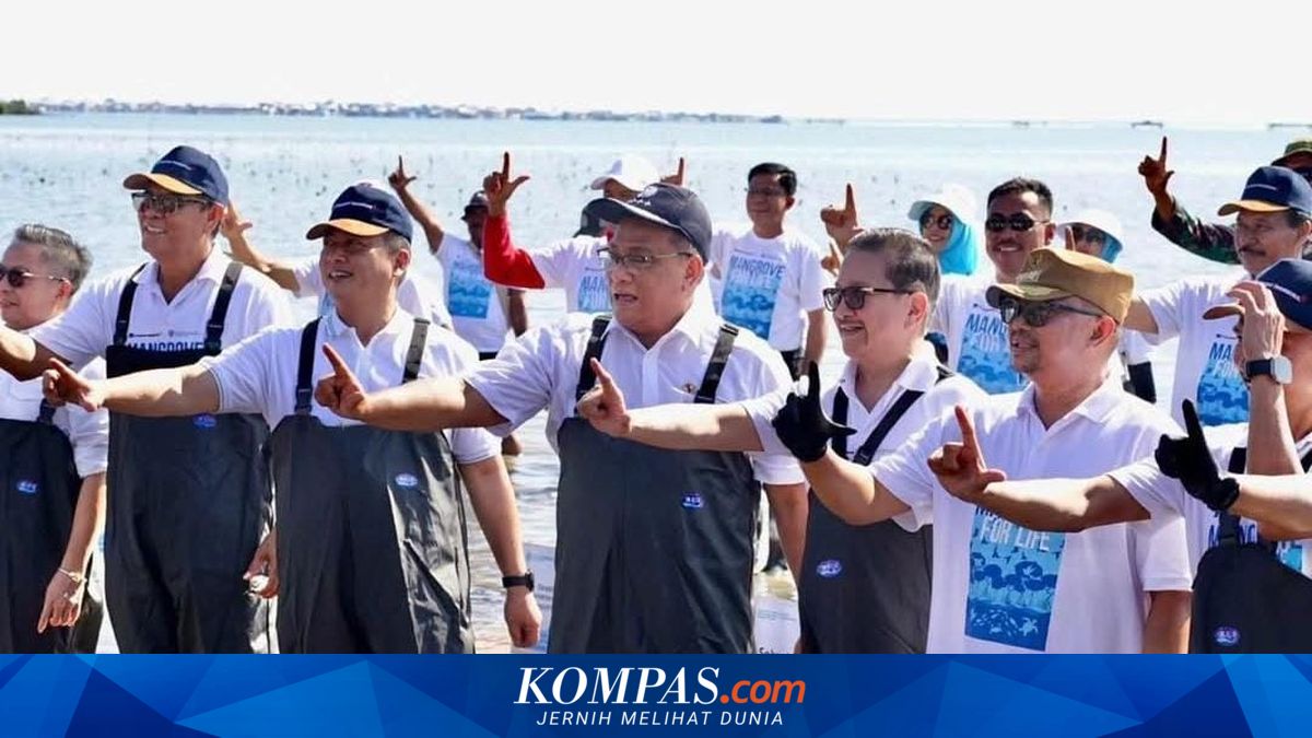 Menteri Lingkungan Hidup Lakukan Penanaman Mangrove di Sumbawa