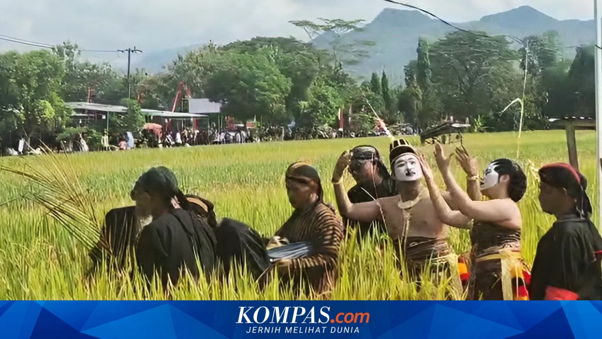Tradisi Methik Pari: Ungkapan Syukur Warga Glinggang atas Hasil Panen Padi