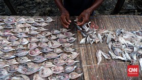 Mengurangi Rasa Asin pada Ikan Asin: Metode Rendam yang Efektif dan Tepat Waktu