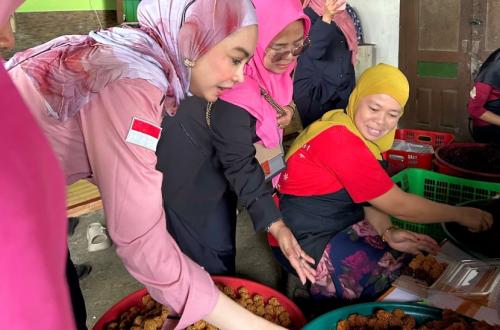 Dukungan Diperlukan untuk UMKM Perempuan di Daerah, Ipemi Mendorong Peran Pemangku Kepentingan