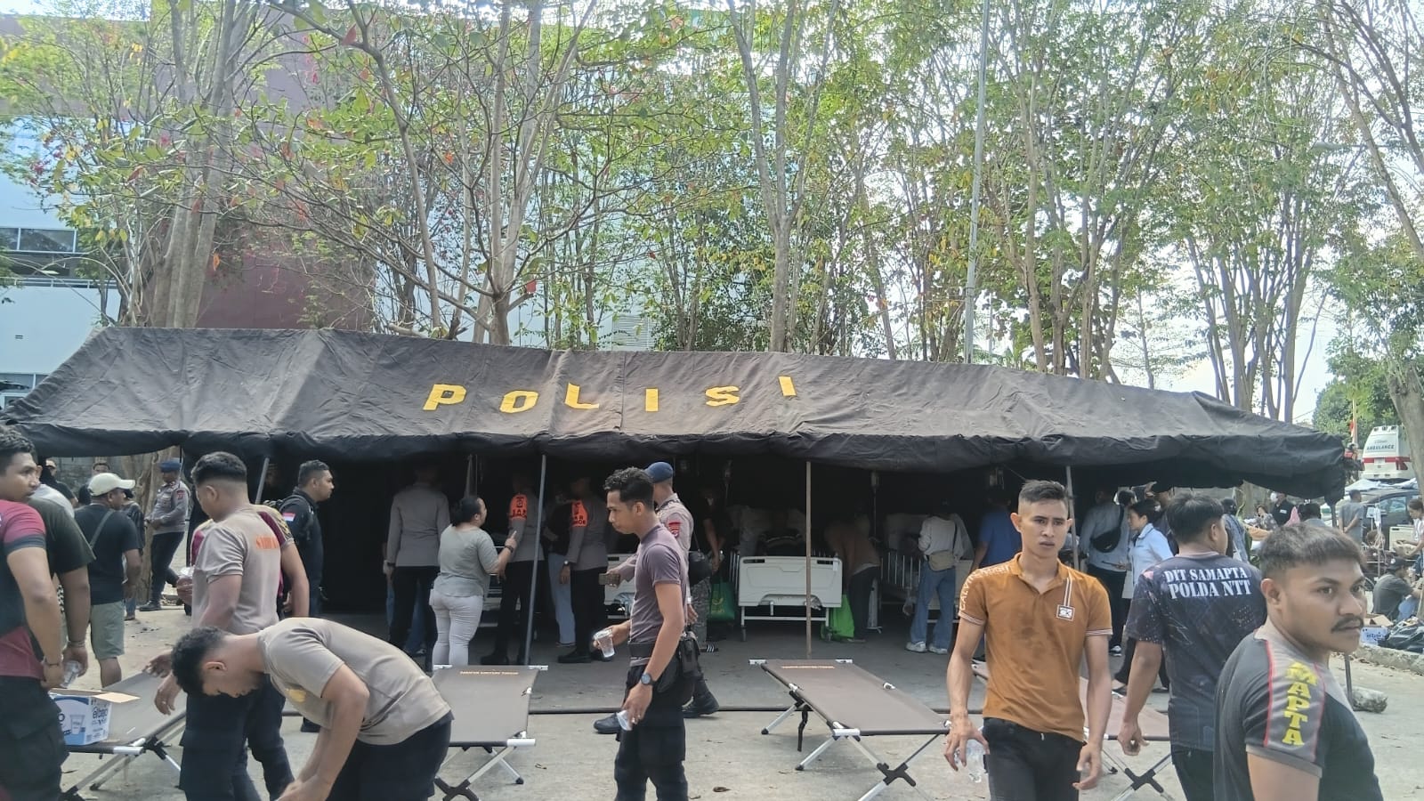 Gempa Flores NTT: 53 Korban Tewas dan 110 Terluka