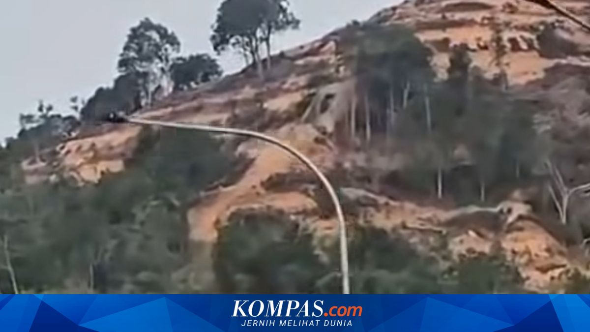 Dugaan Penggundulan Hutan di Jalur Sumbar-Riau, Dinas Kehutanan Pastikan Legalitas Lahan