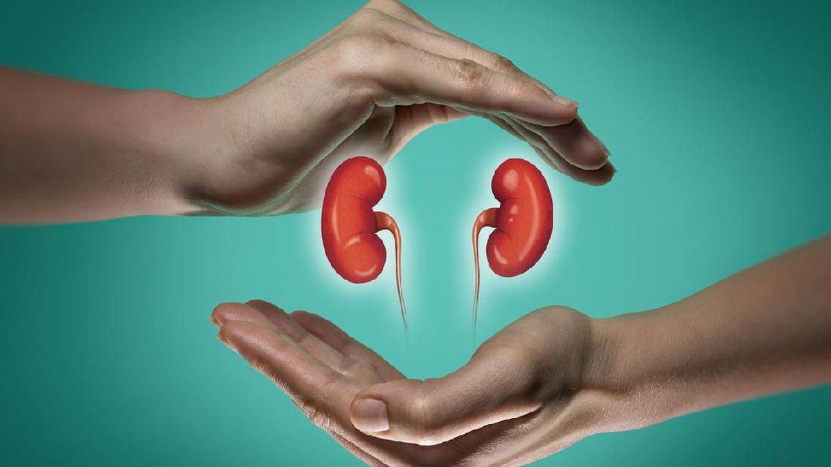 Waspadai Tanda-Tanda Kerusakan Ginjal Melalui Kondisi Urine