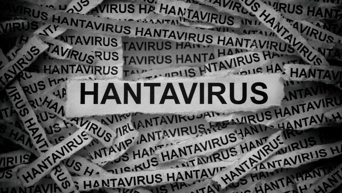 ---
WHO Selidiki Penyebaran Hanta Virus di Pesawat Setelah Kasus di Kapal Pesiar

---