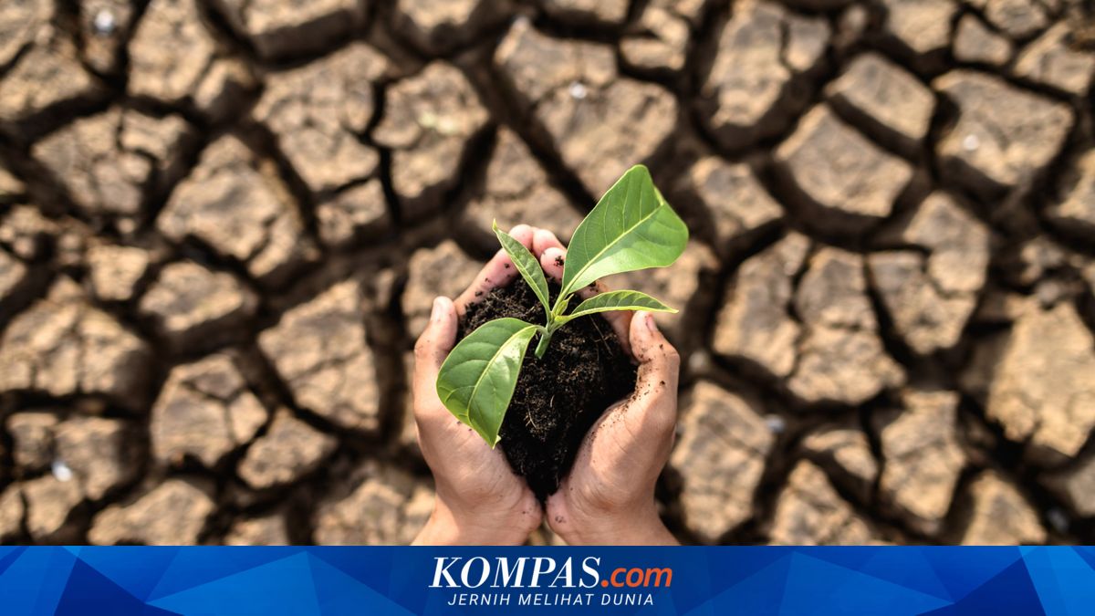 Daerah Rawan Kekeringan dan Kebakaran Hutan di Temanggung